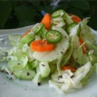 Spicy Bok Choy Slaw Recipe