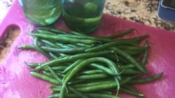 pickled green beans