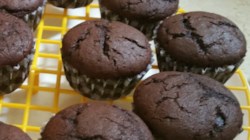Chocolate Cupcakes Recipe - Allrecipes.com