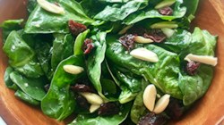 Jamie’s Cranberry Spinach Salad Recipe - Allrecipes.com