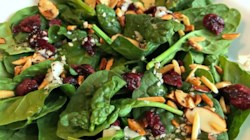 Jamie’s Cranberry Spinach Salad Recipe - Allrecipes.com