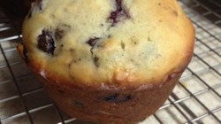 blueberry muffins with crumb topping