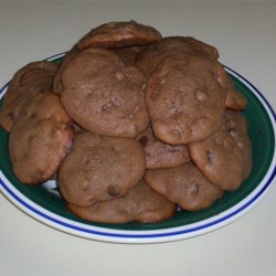 Absolutely Sinful Chocolate Chocolate Chip Cookies