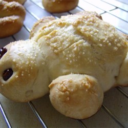 Turtle Bread