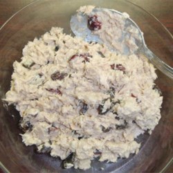 Random Tuna Salad