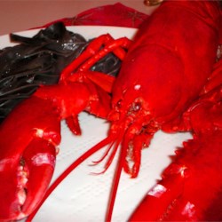 Boiled Lobster