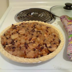 Mock Mincemeat Pie