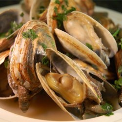 Scott Ure's Clams And Garlic