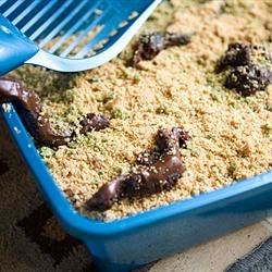 Kitty Litter Cake Recipe