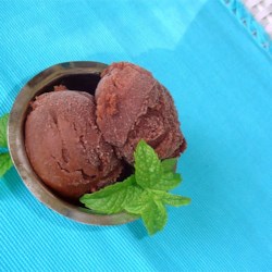 Easy Chocolate Sherbet