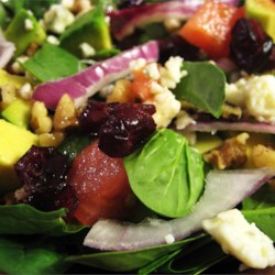 salad harvest spinach recipeofhealth