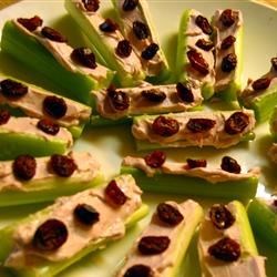 Ladybugs on a Log