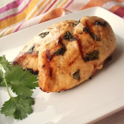 Beer Lime Grilled Chicken Recipe