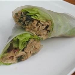 Lemon Grass and Chicken Summer Rolls