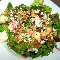 Fall Salad with Cranberry Vinaigrette