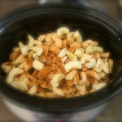 Slow Cooker Applesauce Recipe No Sugar