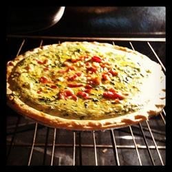 Yummy Quiche