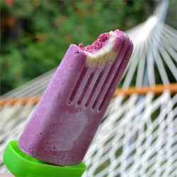 Fresh Fruit and Yogurt Ice Pops