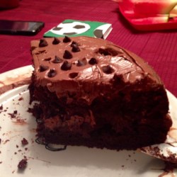 Too Much Chocolate Cake Photos - Allrecipes.com