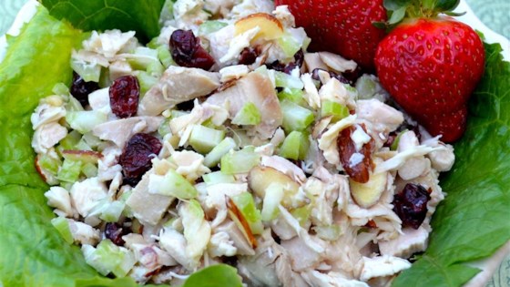 Image result for turkey salad with cranberries