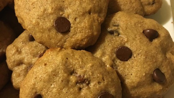 Sour Cream Chocolate Chip Cookies Recipe - Allrecipes.com