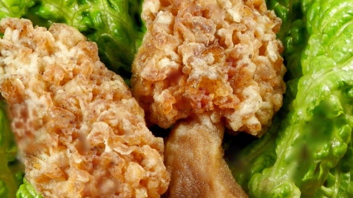 Simple Fried Morel Mushrooms Recipe - Allrecipes.com