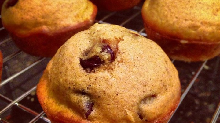 Pumpkin Chocolate Chip Muffins