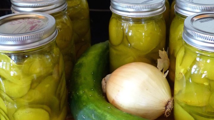 Mustard Pickles Recipe