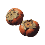 persimmon