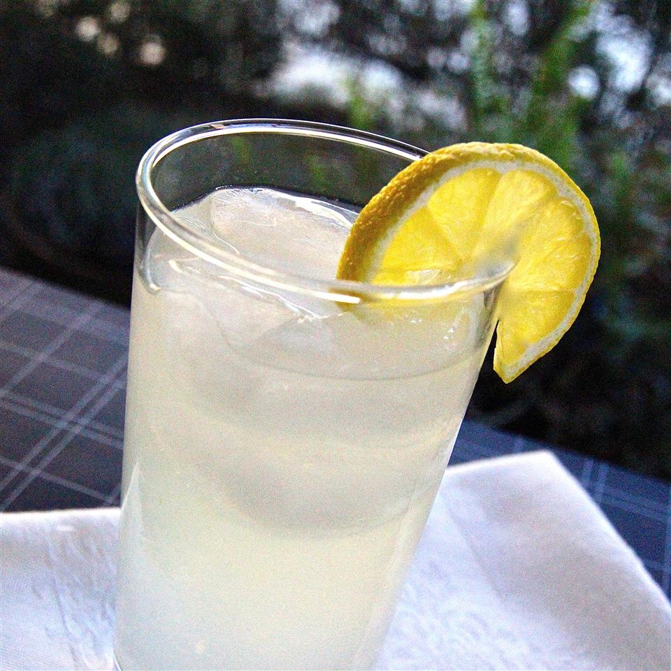 Tom Collins Cocktail Recipe Allrecipes,Crocheting For Beginners