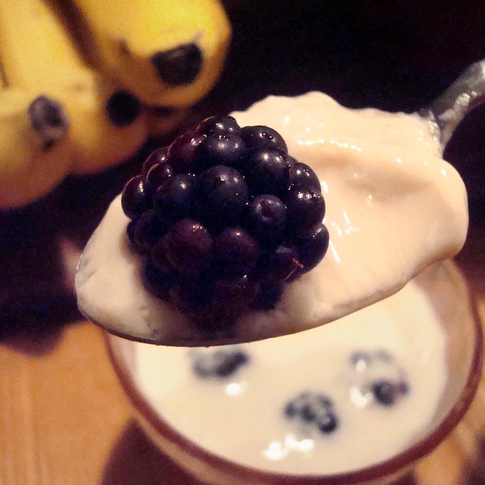 Homemade Yogurt Recipe Allrecipes