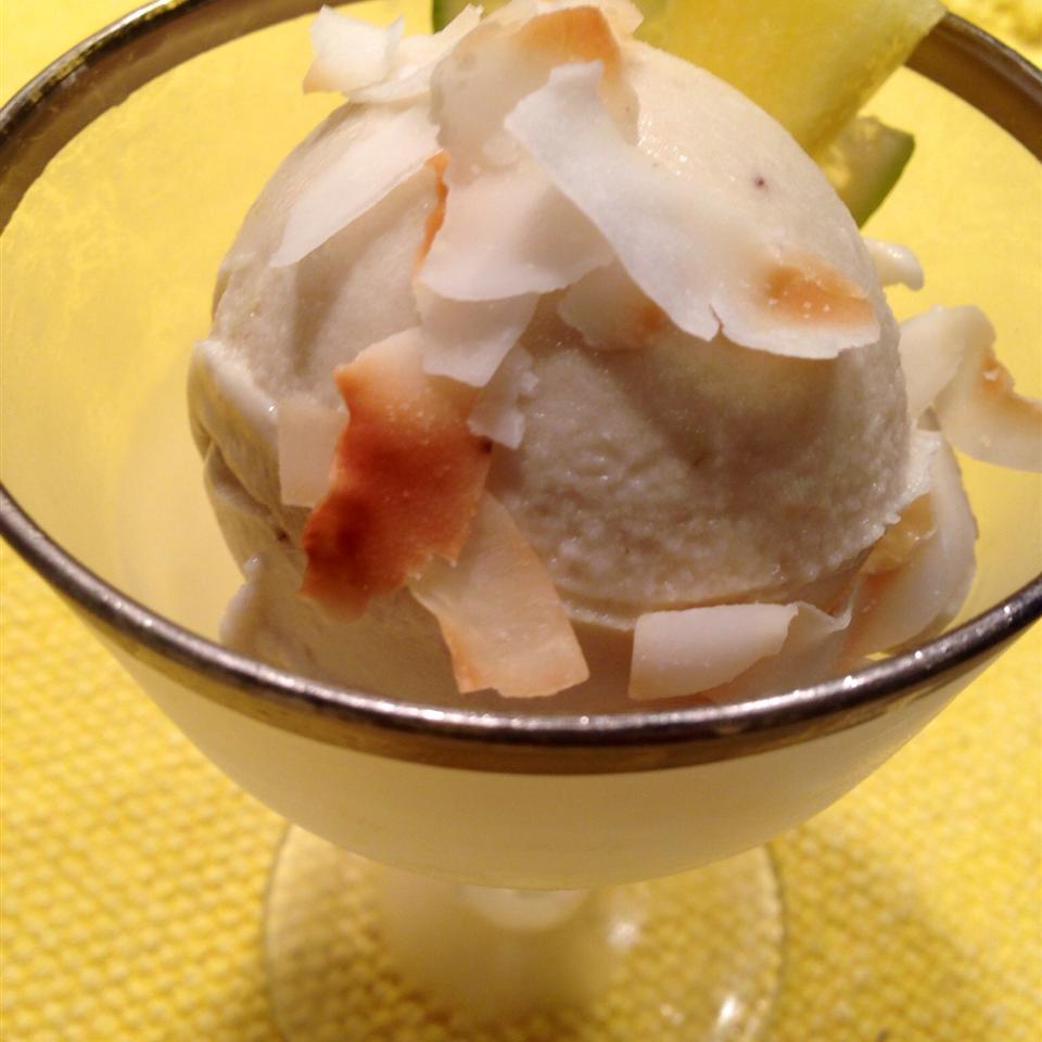 Paleo Tropical Ice Cream image
