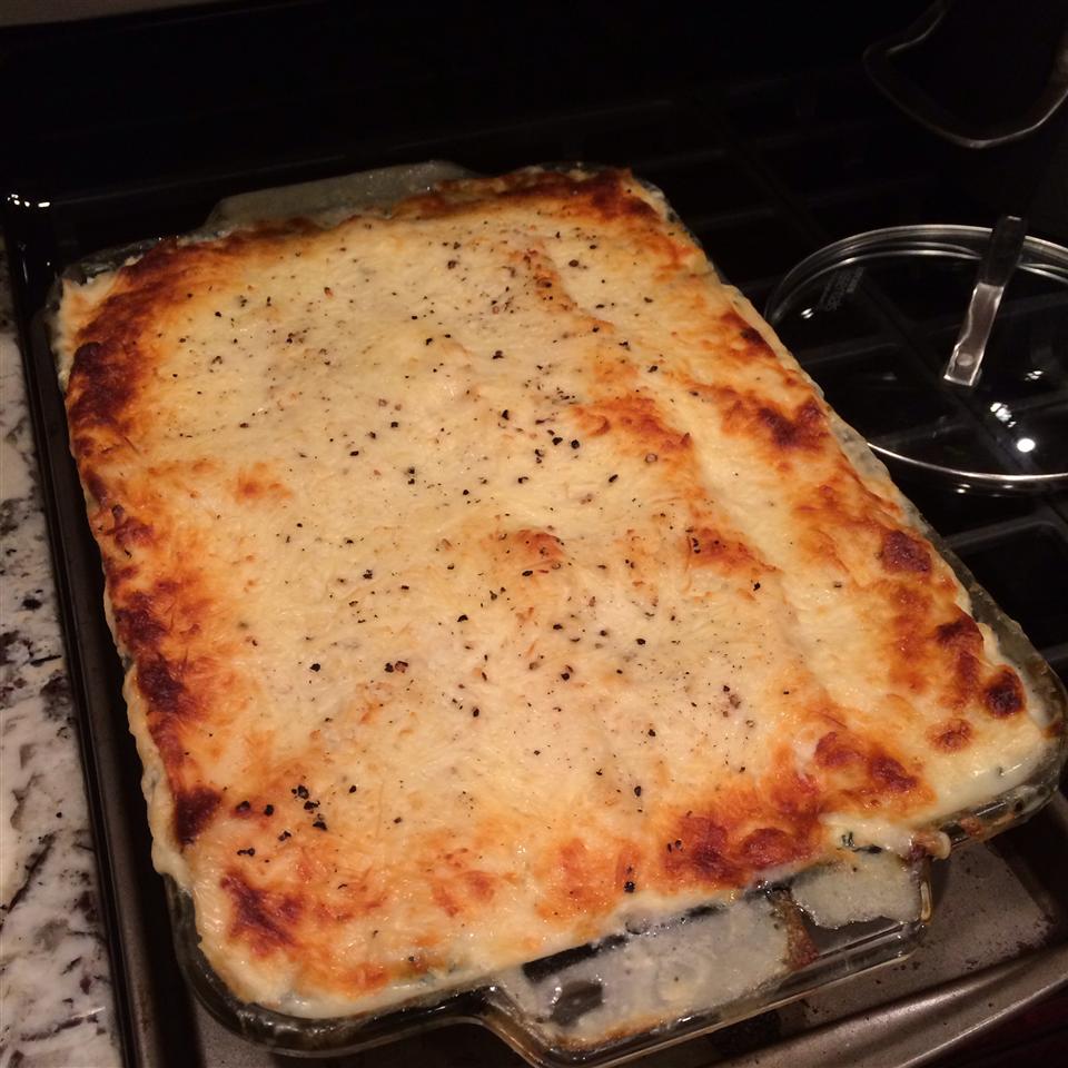 Lasagna Alfredo Recipe