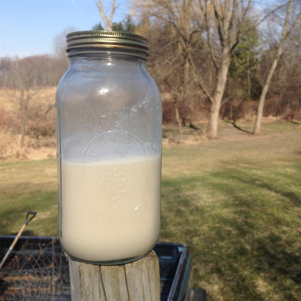 Linda S Coconut Horchata Recipe Allrecipes