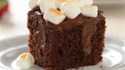 Toasted MarshmallowChocolate Pudding Cake Recipe  Allrecipes.com