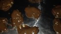 Christmas Turtles® Candies Recipe - Allrecipes.com