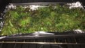 Baked Kale Chips Recipe - Allrecipes.com