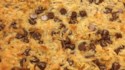 Magic Cookie Bars from EAGLE BRAND® Recipe - Allrecipes.com