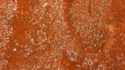 Best Marinara Sauce Yet Recipe - Allrecipes.com