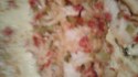 Crab Stuffed Haddock Recipe - Allrecipes.com