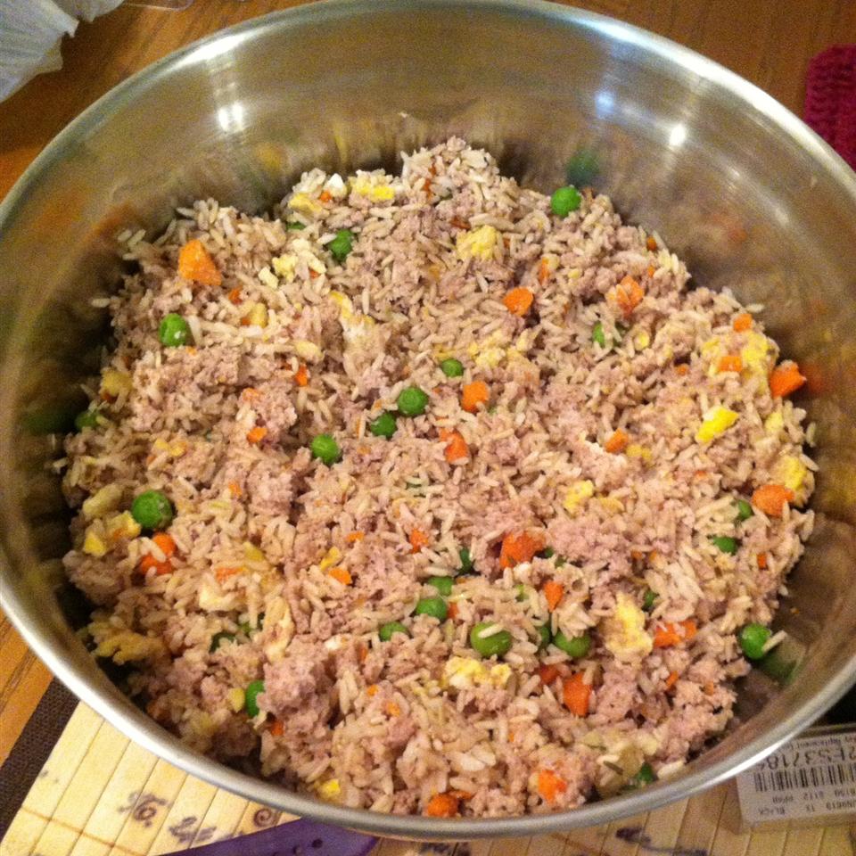 Homemade Dog Food_image