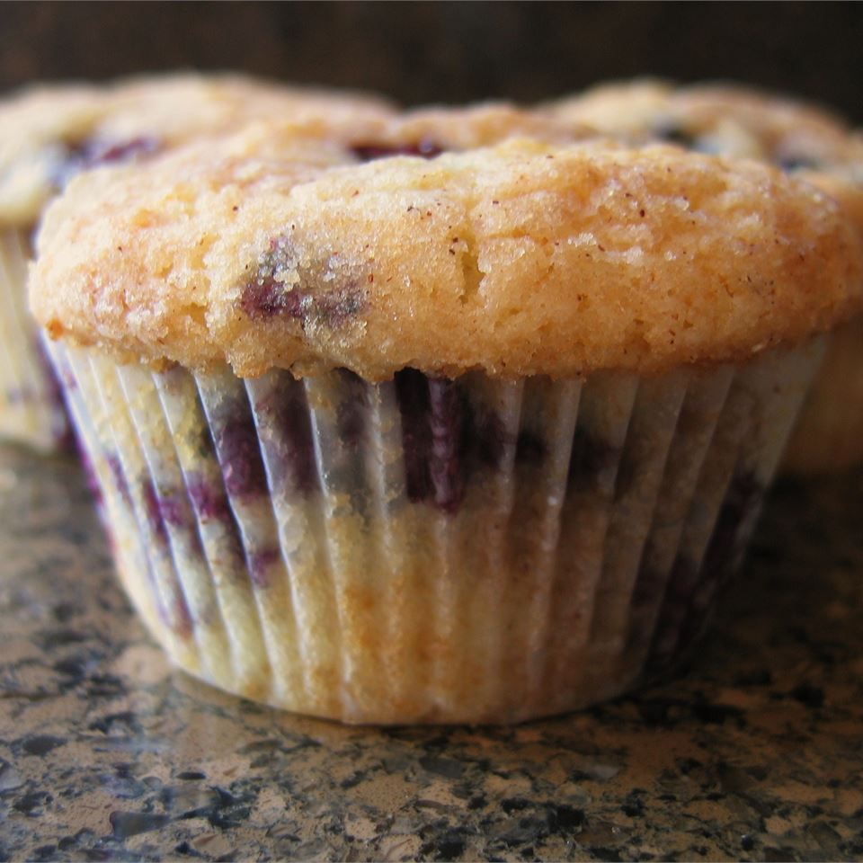 Blueberry Streusel Muffins_image