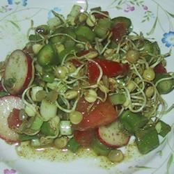 Sprouted Lentil Salad image