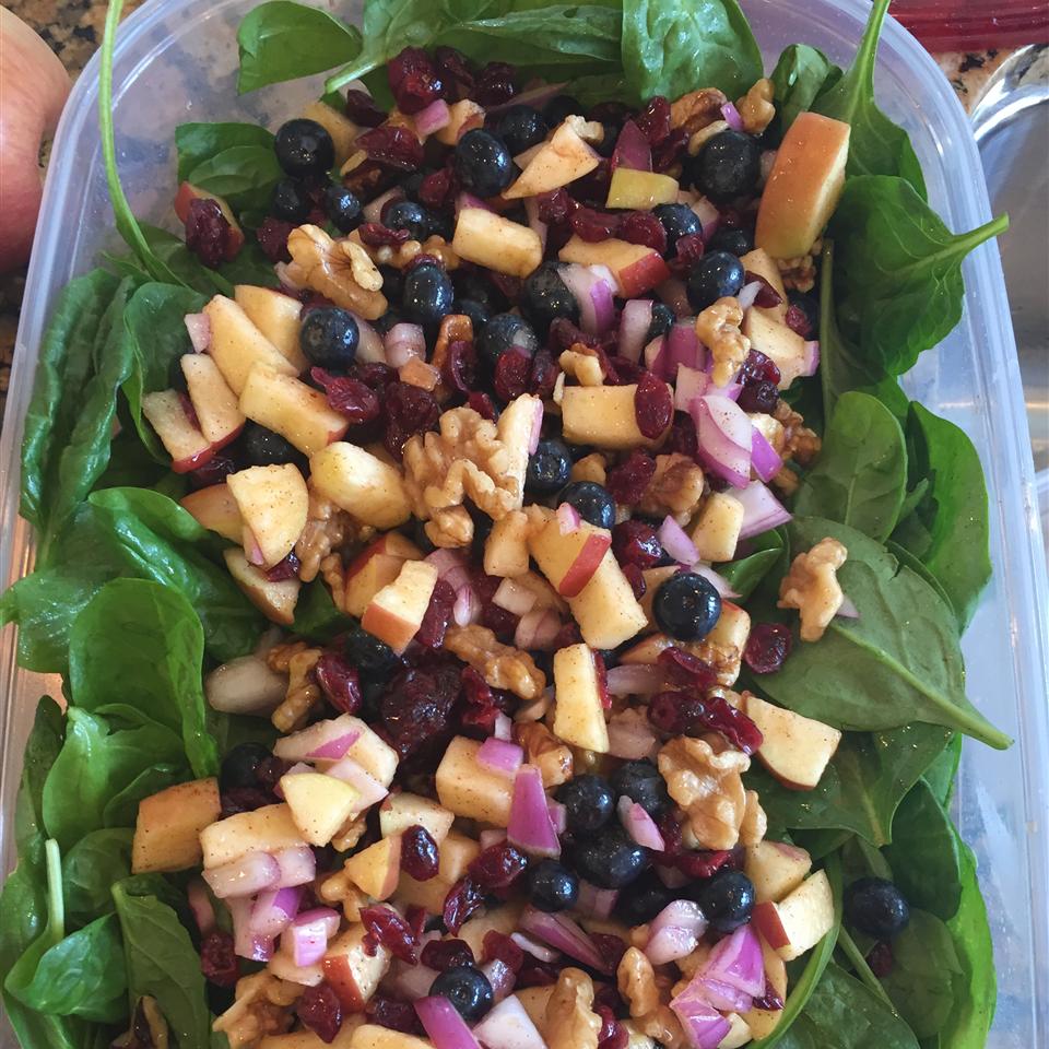 Thanksgiving Spinach Salad_image