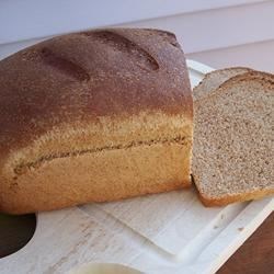 Kid-Friendly Wheat Bread