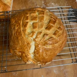 San Francisco Sourdough Bread Photos - Allrecipes.com