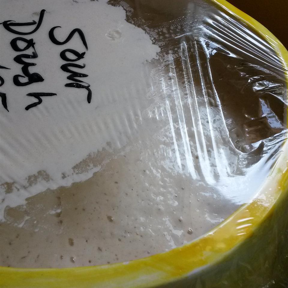 Sourdough Starter Recipe Allrecipes