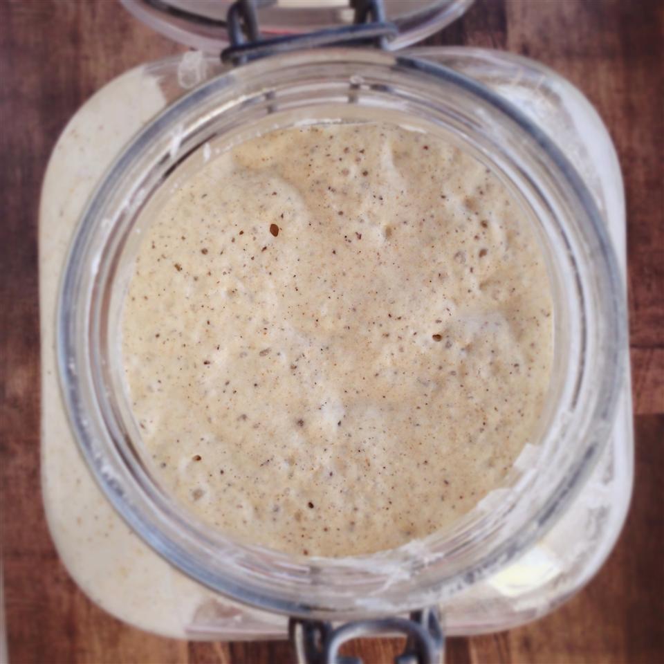 Gluten-Free Sourdough Starter image