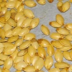 Best Roasted Pumpkin Seeds_image