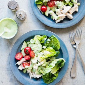 tasty light lunch ideas tasty light lunch ideas